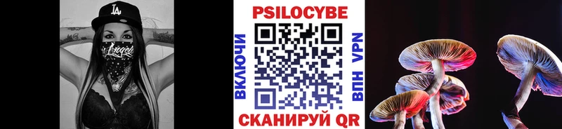 Галлюциногенные грибы прущие грибы  наркошоп  Железноводск 
